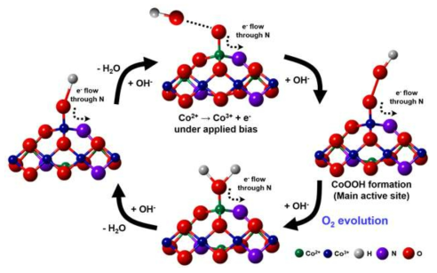 N-CoPi에서 일어나는 물 산화 반응의 단계별 모식도