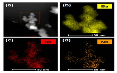 나이오븀이 5 % 도핑된 바륨주석산화물의 STEM 원소 분석 이미지