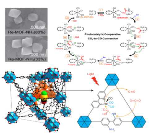레늄 복합체 리간드와 암모늄을 포함한 리간드의 금속유기골격체의 이산화탄소 환원 반응
