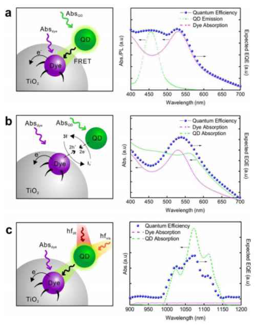 광대역 에너지 전달 메커니즘(왼쪽)과 예측 가능한 스펙트럼(오른쪽). (a) FRET, (b) Co-sensitization, (c) 2광자 흡수