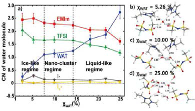 (a) 물의 몰수비에 따른 물 분자 결합의 경향. (b-d) 30ns MD 후의 EMIm+- TFSI-를 수반한 물의 대표적인 구조들