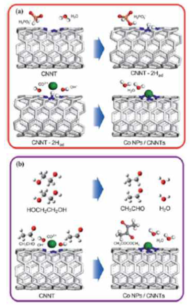 DFT 방법을 통해 계산된 CNNTs 위에 Co 나노입자들이 형성되는 반응 경로 (a) ethylene glycol에서의 sodium hypophophite 환원 반응을 포함하는 경우와 (b) 그렇지 않은 경우