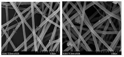 electrospinning 방법으로 제조한 Nafion/PEO과 Nafion/PVP fiber 이미지