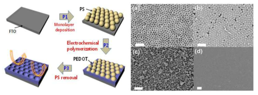 3차원 정렬된 전도성 고분자 필름 제조 과정 (좌), 3차원 정렬된 전도성 고분자 필름의 표면 (SEM, 우). (Electrochim. Acta, 2014, 137, 34-40)
