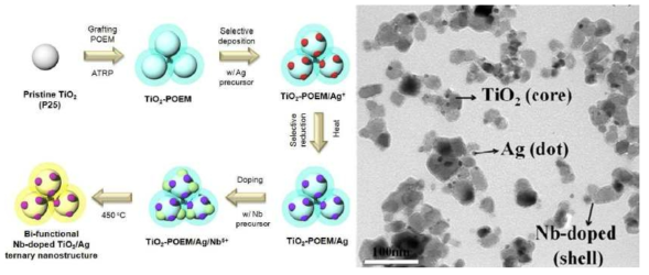 Nb-doped TiO2/Ag 나노 복합체의 합성 과정과 TEM 이미지 (Nanoscale, 2014, 6, 2718)