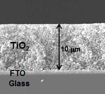 다공성 TiO2 막의 단면구조