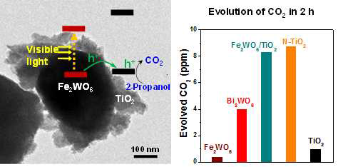 Fe2WO6/TiO2 접합구조 TEM 이미지 및 촉매효율