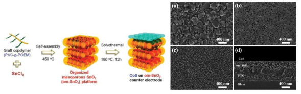 CoS 나노파티클과 정렬된 SnO2 필름으로 구성된 촉매의 제조 방법과 표면 사진(SEM) (Nanoscale, 2015, 7, 670)