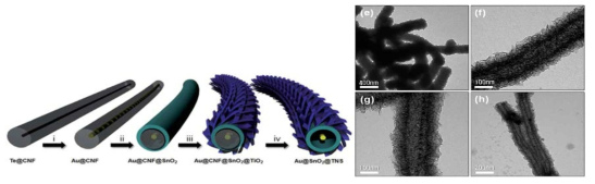 Au 코어 SnO2/TiO2 나노시트로 구성된 1차원 나노튜브의 제조 과정과 FE-TEM 이미지 (J. Mater. Chem. A. 2015, 3, 10439)