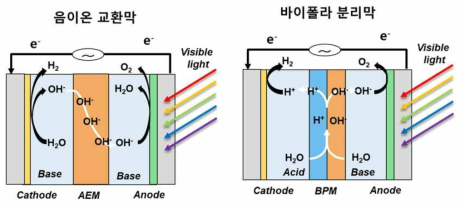 음이온 교환막과 바이폴라 분리막 시스템