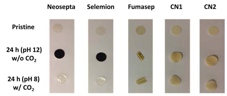 CO2의 유/무 (pH 8, 12)에 따른 상용막의 변화