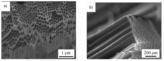 양극 산화처리 방법으로 제조된 산화 티타늄 나노튜브 (a) 위 (b) 아래