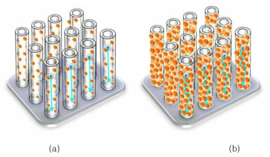 티탄산 스트론튬-산화티타늄(SrTiO3-TiO2)이종 나노 튜브의 개략도 (a) 열수 처리 시간이 적절한 경우 (b) 열수 처리 과정이 너무 긴 경우