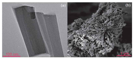 (a) MOF 광촉매의 HRTEM 이미지, (b) MOF 광촉매의 HRSEM 이미지