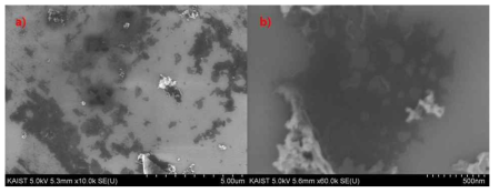 (a) g-C3N4 nanosheet의 SEM 이미지(top view), (b) 확대한 이미지