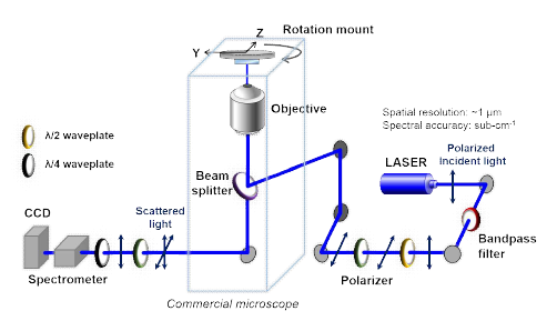 미세 시료에 적용할 편광 라만 분광 장치의 개략도