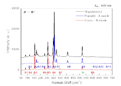633 nm의 파장으로 측정한 CrPS4의 편광 라만 스펙트럼