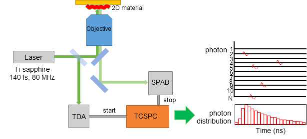 2차원 시료에 적용할 TCSPC 시분해 형광 측정 장치의 개략도