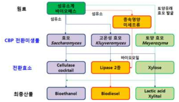 차세대 원료유연형 바이오에너지/바이오케미컬 통합 생산 공정을 위한 기술개발 전략