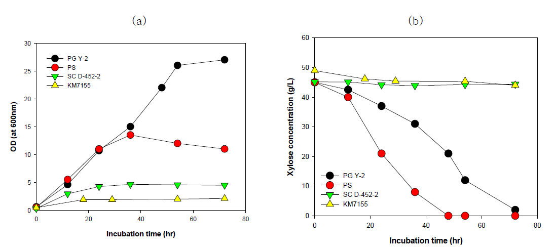 효모 균주들의 xylose 이용능력. (a) cell growth, (b) xylose concentration; strains : Pichia guillermondii Y-2, Pichia stipitis, Saccharomyces cerevisiae D452-2, Kluyveromyces marxianus 7155