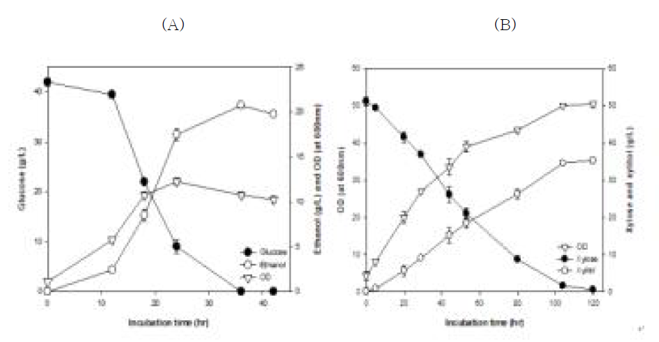 효모 PG 의 탄소원별 발효배양 (A: glucose, B: xylose )