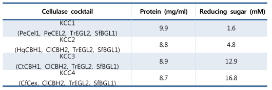 효소 칵테일별 바이오매스 당화 활성