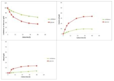 세포성장에 따른 탄소원 소비량 및 D-lactic acid와 에탄올 생산량 분석