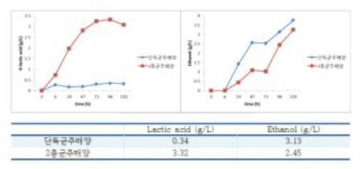 배양시간에 따른 D-lactic acid와 에탄올 생산량 분석