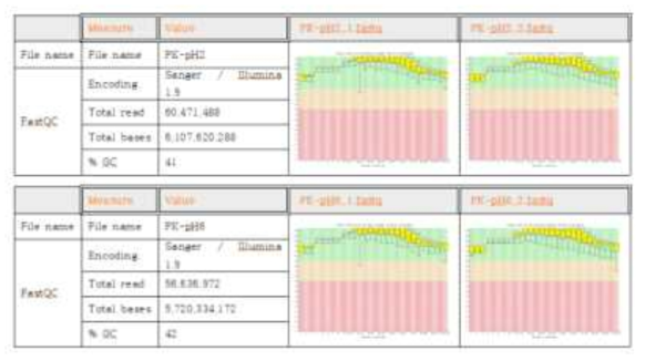 FastQC 처리를 통한 서열분석 품질 확인
