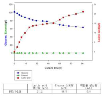 Lactic acid 생산량 분석