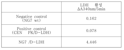 LDH 활성분석