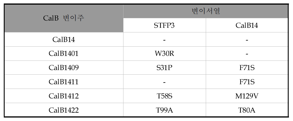 각 형질전환체들의 리파제 활성 분석