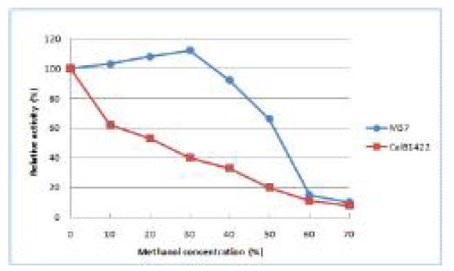 CalB 와 M37 리파제의 메탄올 저항성 비교