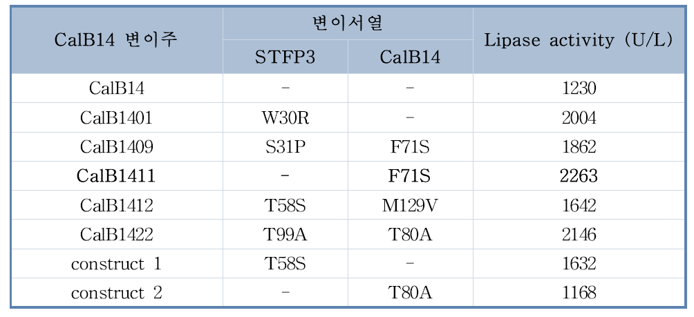 각 변이주들의 lipase 활성 분석