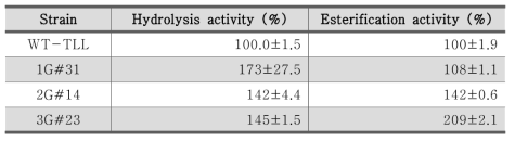 TLL 변이주의 hydrolysis 및 esterification 상대 활성 비교