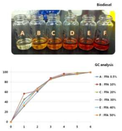 자유지방산 함량에 따른 바이오디젤 전환반응