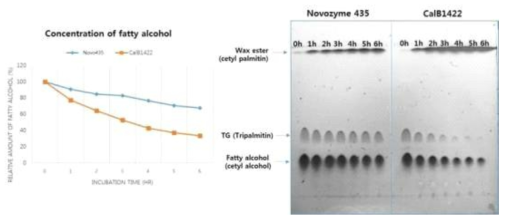 Tripalmitin을 이용한 wax ester의 생산