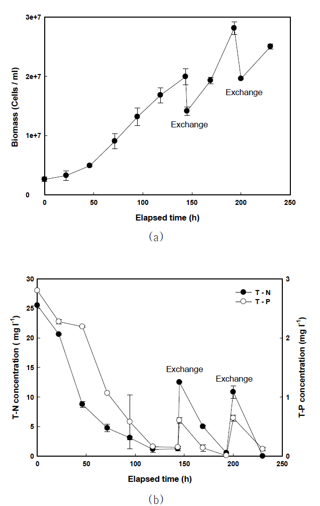 Semi-continuous process for enhanced growth of C. vulgaris. (a) C. vulgaris growth in semi-continuous mode. (b) Removals of total nitrogen and phosphate in the wastewater by the operation of semi-continuous process