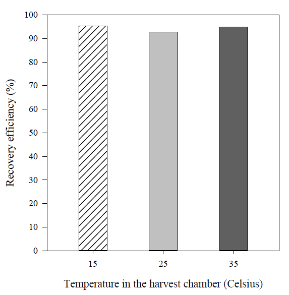 Mean recovery efficiency as a function of harvest time with different temperature in the harvest chamber