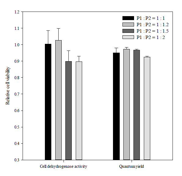 Effect of different P1 to P2 ratios of PE on relative cell dehydrogenase activity and relative quantum yield at 10 min