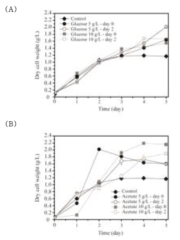 Effect of feeding time of (a) glucose and (b) acetate on growth of C. reinhardtii