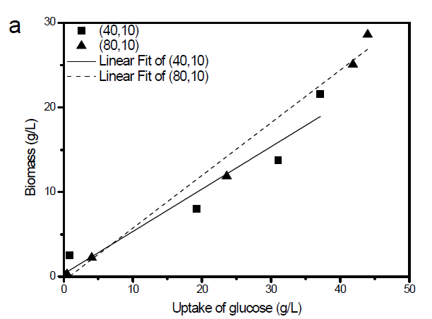 글루코즈 소모량에 따른 바이오매스 생산수율계수