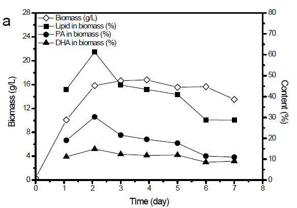 효모추출물만 투입한 Fed-batch 배양의 7일 간 바이오매스와 지질, PA, DHA 함량