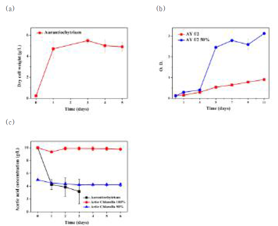 AY f/2 배지에서 Aurantiochytrium와 Artic Chlorella의 성장 및 시간에 따른 초산의 농도 변화