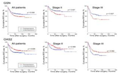 GSN과 OAS2의 발현과 무재발 생존률 관계