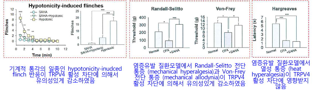 1단계 연구수행을 통해 규명한 통증변조인자 TRPV4가 담당하는 특이적인 질환성 통증