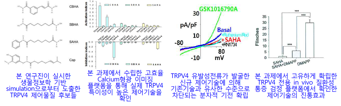 통증 제어기술인 Suberanilohydroxamic Acid 발굴 (TRPV4 차단제)