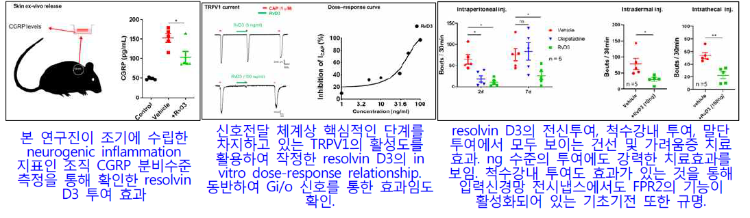 Resolvin D3 (ALX/FPR2 효현제)의 약리적 기전과 치료효용성 심화연구