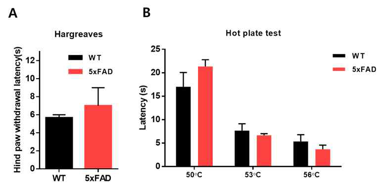 5xFAD 모델에서 유해한 열자극에 의한 통증 민감성 확인 (A, B) 유해한 열(UV) 자극(infrad radient IR:30)에 의한 통증반응이 대조군에 비해 별다른 차이가 없었음. (C, D) 유해한 온도 자극에 의한 통증반응이 대조군에 비해 별다른 차이가 없었음