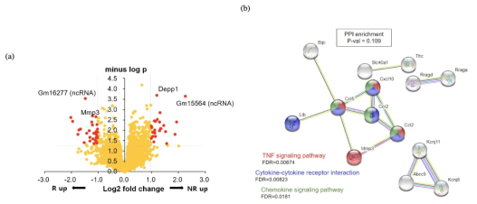 FOLFOX 반응군과 비반응군에 대한 TME 유전자의 DEG 및 네트워크 분석 결과